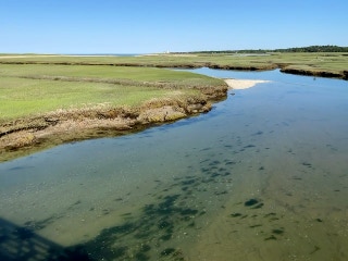 Salt Marsh, East Sandwich